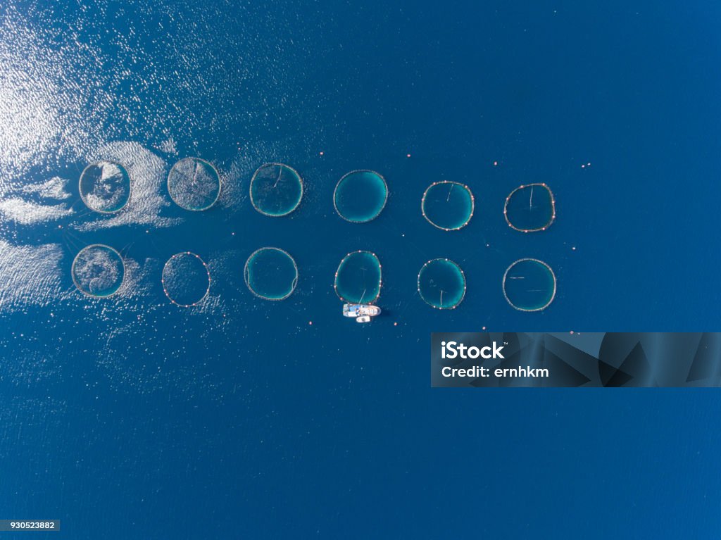 Open Sea Fish Farm Drone photo of a open sea fish farm in the Mediterranean Sea. Sustainable Resources Stock Photo