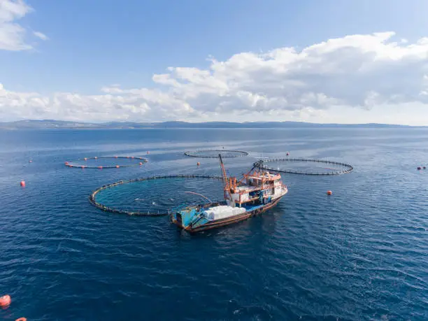 Drone photo of a open sea fish farm in the Mediterranean Sea.