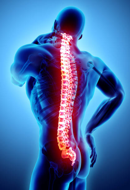 istock 3D Illustration of sacral and cervical painful. 930527892