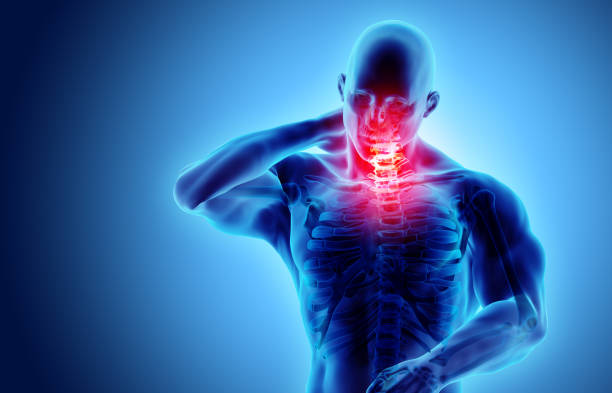 istock Neck painful - cervical spine skeleton x-ray, 3D illustration. 930527894