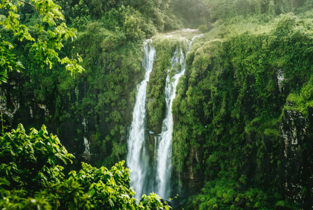 Iguazu Falls, Brazil-Argentina, Brazilian side Located in Foz do Iguaçu Paraná, on the border of Brazil and Argentina, the Iguaçu National Park in Brazil became the UNESCO World Heritage Site in 1986. paraguay stock pictures, royalty-free photos & images