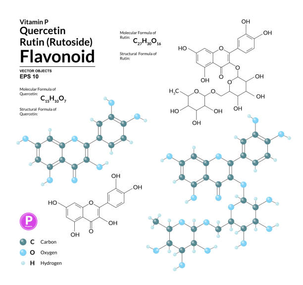 ilustrações, clipart, desenhos animados e ícones de fórmula molecular estrutural e modelo de rutina e quercetina. os átomos são representados como esferas com codificação de cores. 2d, visualização 3d e fórmula esquelética. ilustração vetorial - quercetin