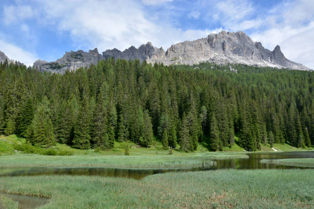 istock The green of the mountains at spring 930545780