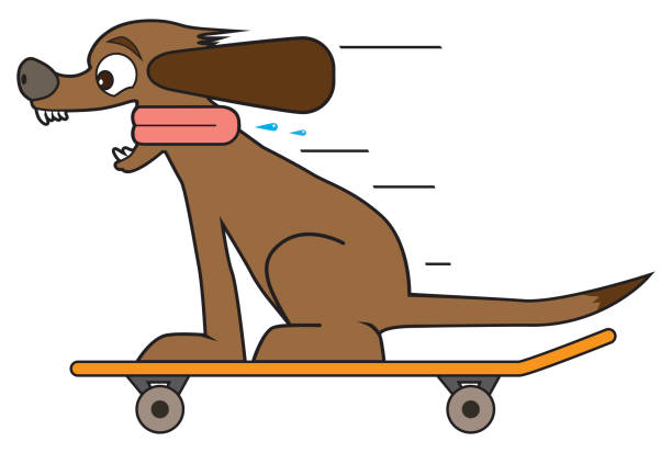 Dog on a Skateboard vector art illustration