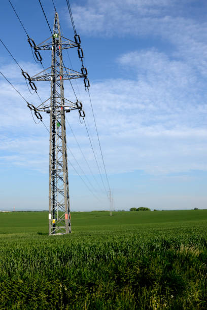 istock Power line columns in the countryside 930549640