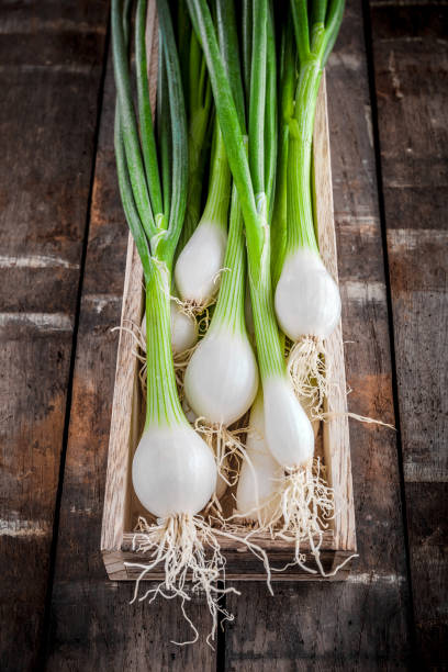 Green onions overhead in wooden box on old rustic table