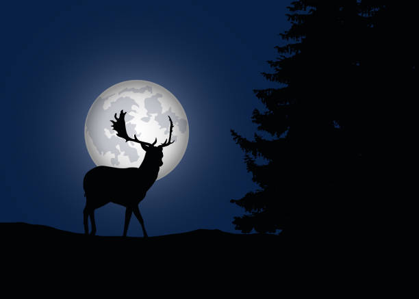 istock Deer in the forest with coniferous trees with moon and blue night sky background - vector 930565090
