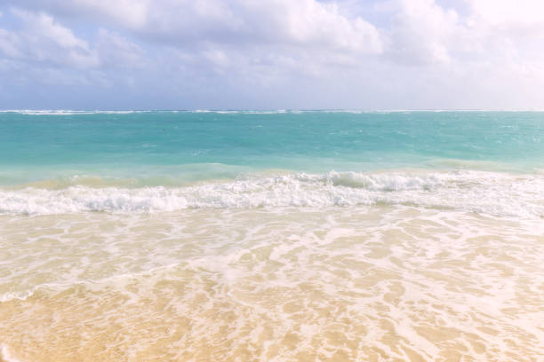 istock Arena Gorda Beach in Punta Cana 930567738