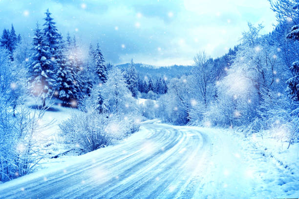 istock Snowy meandering in the forest under snow 930568802