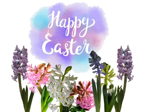 Spring Floral hyacinth Decoration with Happy Easter typographic lettering greeting card on colorful watercolor background