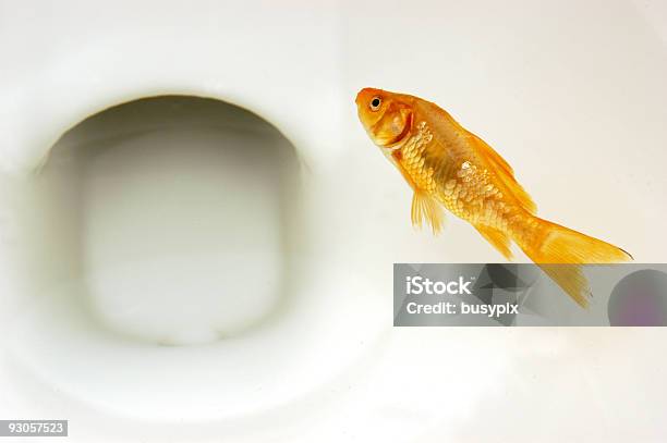 Moby Seinen Kaffeemaschine Stockfoto und mehr Bilder von Abfluss - Abfluss, Begräbnisstätte, Farbbild
