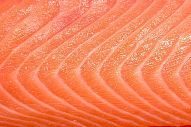 istock Closeup view of raw salmon fish 93057648
