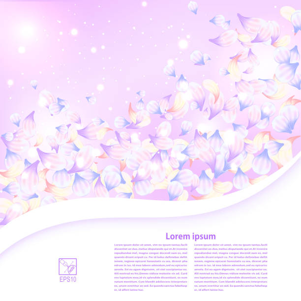 abstrakt lila blumen hintergrund mit einem feld für den text. vektor-illustration. - flower floral pattern spring computer graphic stock-grafiken, -clipart, -cartoons und -symbole