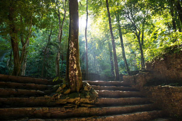 istock Mayan ruins and jungle in Palenque, Mexico 930579110