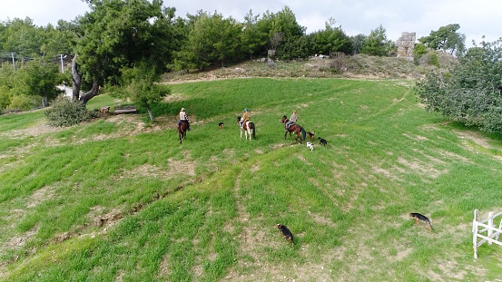 Cowboys with dog aerial view