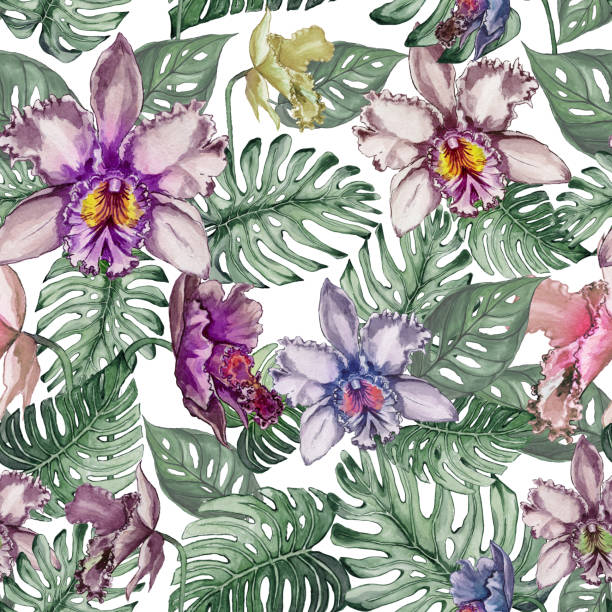 Beautiful orchid flowers and monstera leaves on white background. Seamless tropical floral pattern.  Watercolor painting. Hand drawn illustration. Beautiful orchid flowers and monstera leaves on white background. Seamless tropical floral pattern.  Watercolor painting. Hand drawn illustration. Fabric, wallpaper, wrapping paper design. cattleya trianae stock illustrations
