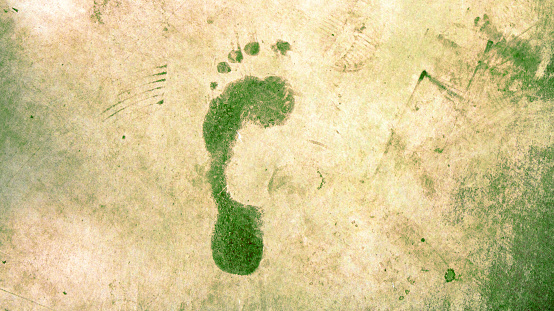 Green ecological footprint