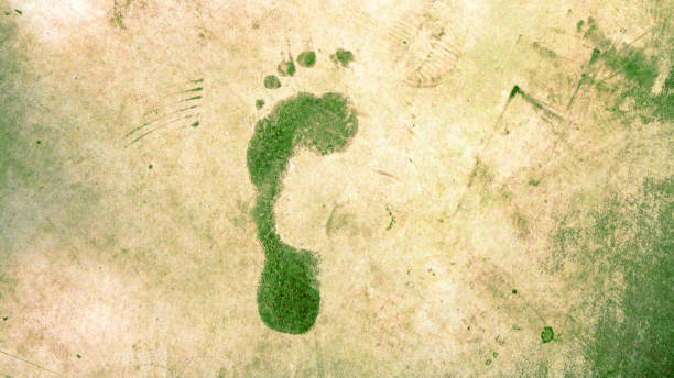 Green ecological footprint Green ecological footprint carbon footprint stock pictures, royalty-free photos & images