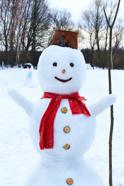 istock Snowman joyful. Christmas snowman made in garden 930600726