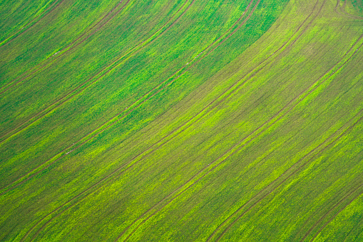 Aerial view of a green empty field in winter among the rural landscape of Lower Silesia, Poland. Can be used as a background, backdrop or overlay.