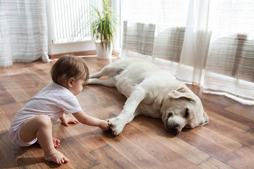 baby girl sitting on floor playing with dog