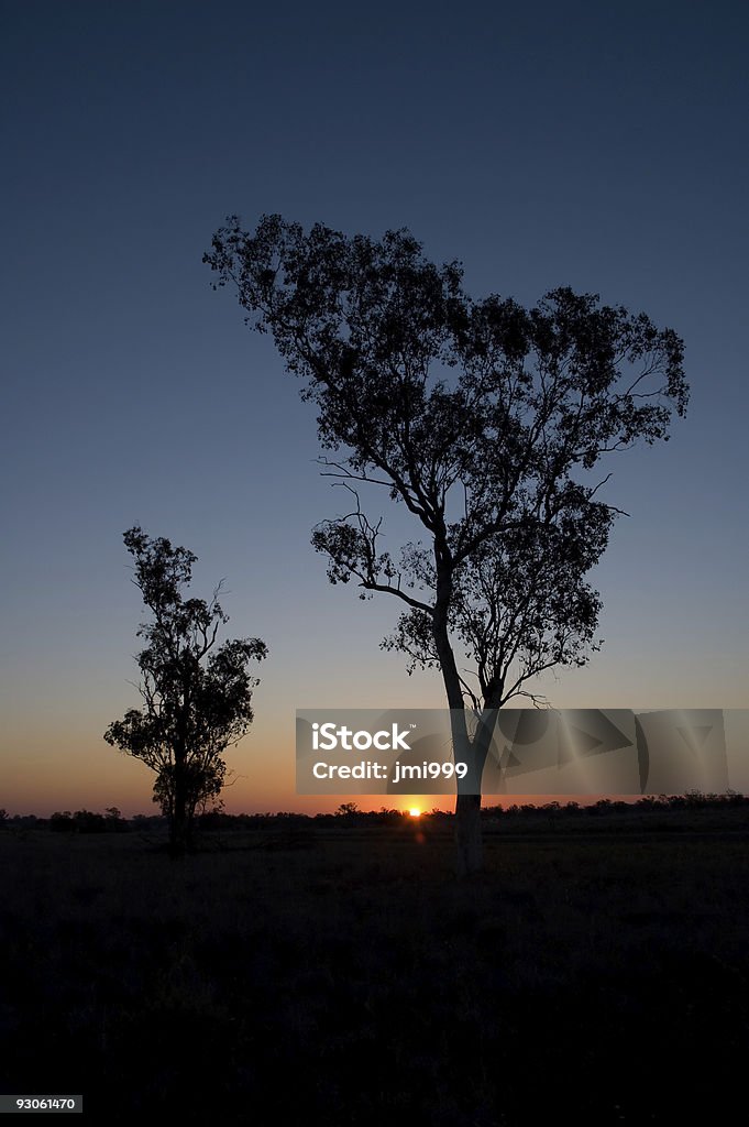 Silhouette von zwei Gum Bäumen - Lizenzfrei Australien Stock-Foto