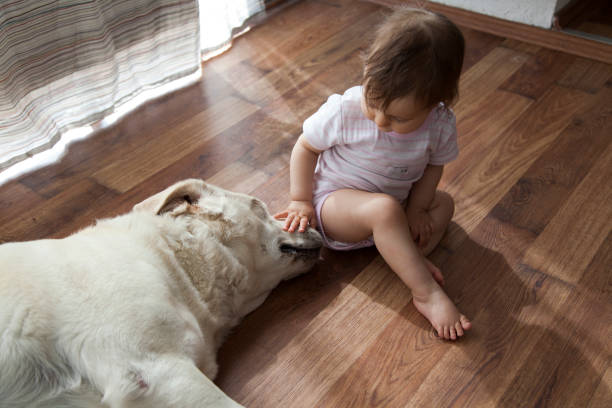 istock baby girl playing with dog 930614960