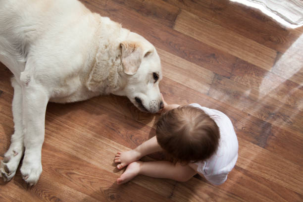 istock baby girl playing with dog 930615074