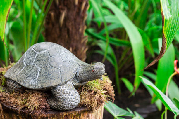 fake grey turtle on brown trunk in green garden