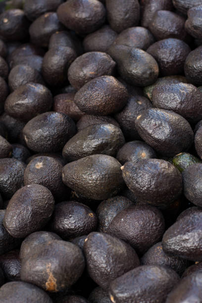 istock Lots of Avocado for sale 930615392