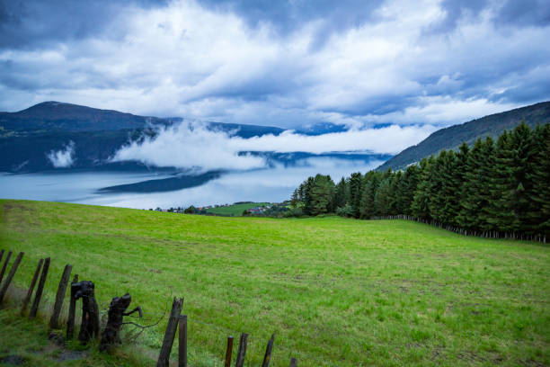 fiordo norvegese - fence hill mountain range mountain foto e immagini stock