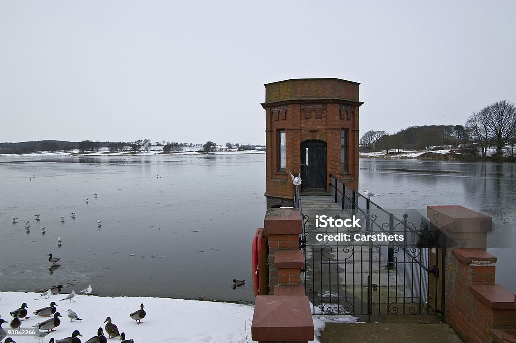 Reservoir scene in winter  Animal Wildlife Stock Photo