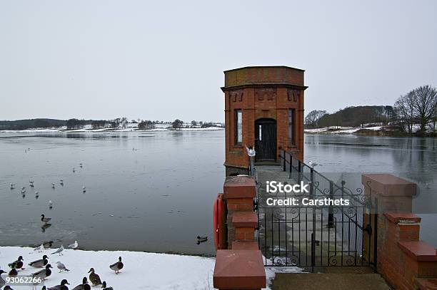 Reservoir Scene In Winter Stock Photo - Download Image Now - Animal Wildlife, Bird, Color Image