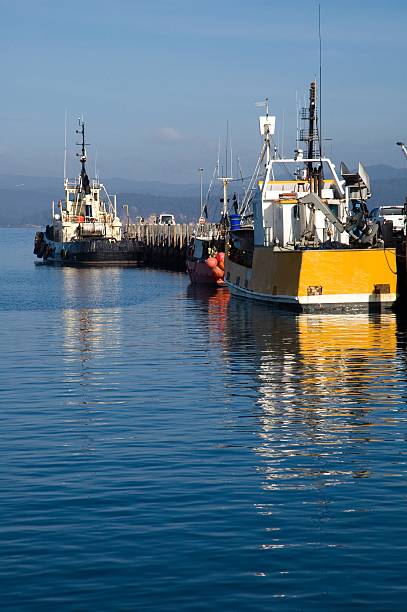 Barcos de pesca, Eden, Nova Gales do Sul - foto de acervo