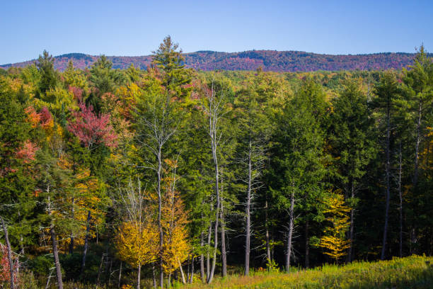 istock New England autumn view 930630632