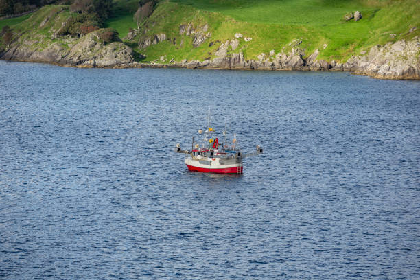 istock Lonely fishing boat 930631470