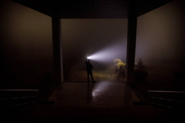 istock Creepy silhouette in the dark abandoned building. Dark corridor with cabinet doors and lights with silhouette of spooky horror person standing with different poses. 930634440