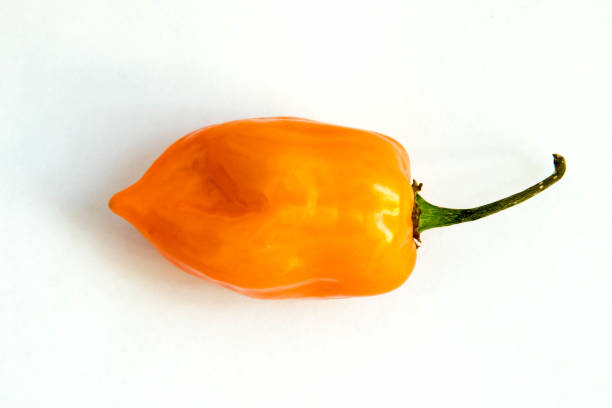 istock Orange habanero pepper on white background 930636936