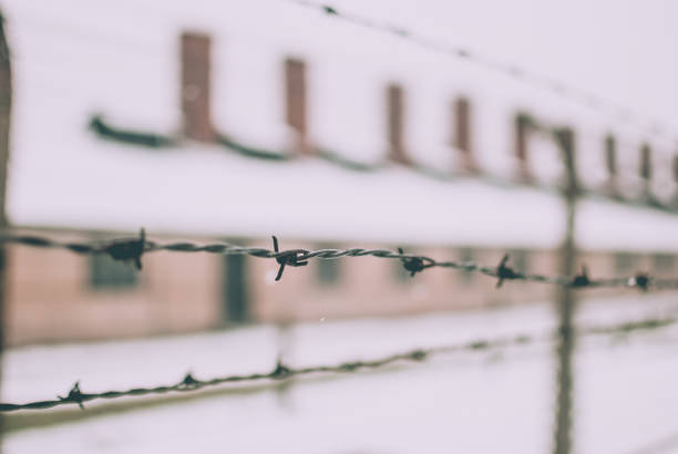 Oswiecim, Poland - February 16, 2018: Black barbed wire against a block in Auschwitz concentration campCloseup of barbed wire fence near the famous arch of the concentration camp Auschwitz.