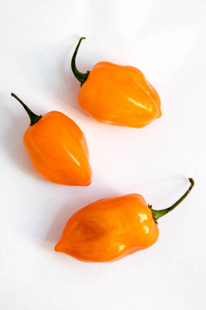 Two habanero peppers