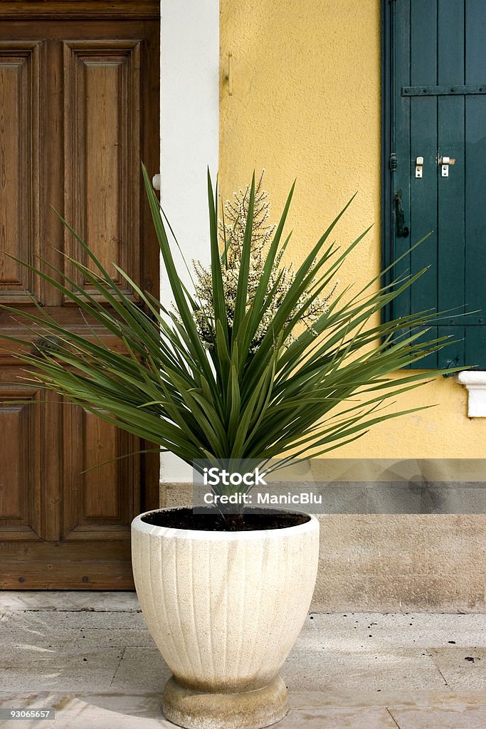 Large potted yucca  Building Entrance Stock Photo
