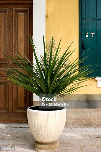 Large Potted Yucca Stock Photo - Download Image Now - Building Entrance, Building Exterior, Built Structure