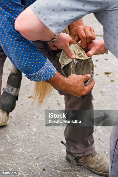 Photo libre de droit de Cheval Soin banque d'images et plus d'images libres de droit de Adulte - Adulte, Bottes, Bras humain