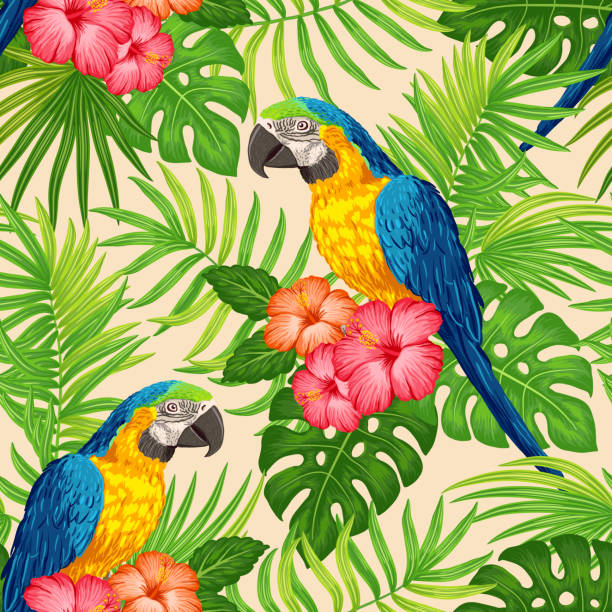 illustrazioni stock, clip art, cartoni animati e icone di tendenza di motivo floreale tropicale con pappagalli - hawaiian culture hibiscus print pattern