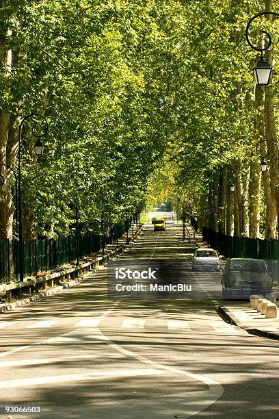 Shady Lane Stock Photo - Download Image Now - Boulevard, Car, Chainlink Fence