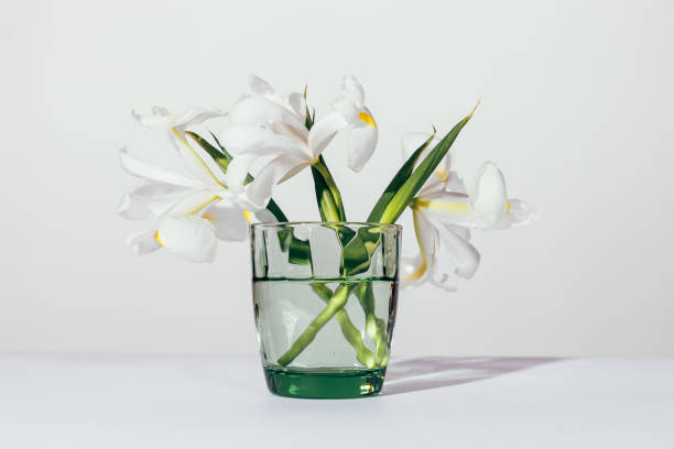 istock Beautiful white flowers in a green vase 930665210
