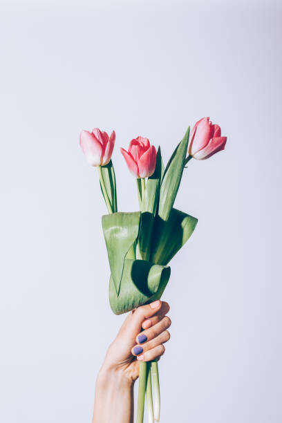 istock Vertical image of a bouquet of pink tulips 930665254