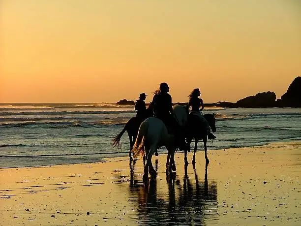 three people on horse back riding on wet sandy beach at sunset