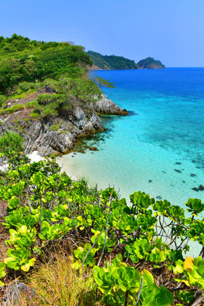 istock Cock Burn Island in Myanmar 930683534