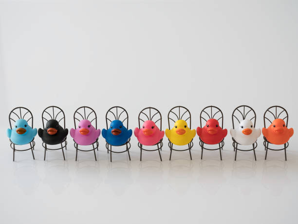 Many different colored rubber ducks sitting on chairs in a row, scene set on a white background. Concept image regarding multi-ethnic group, togetherness, peace, human rights, social issues etc.